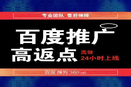 百度竞价入门必看：实操技巧与成功案例
